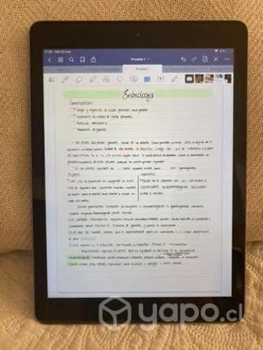 IPad Air primera gen.