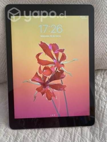 IPad Air primera gen.