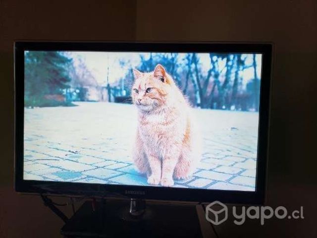 Tv full HD Samsung led un22d5000ng no smart