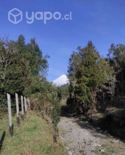 Parcela media hectárea, Comuna Puerto Octay