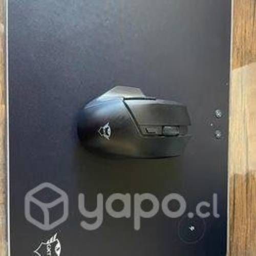 Mouse gxt + mouse pad