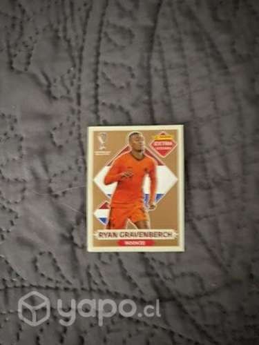 Ryan gravenberch extra stickers rookie bronce