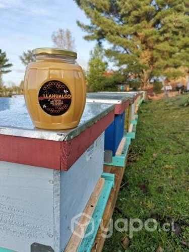 Miel natural de abeja