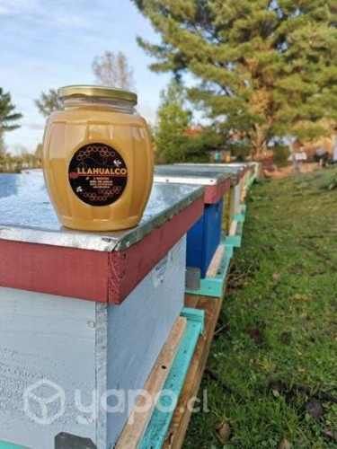 Miel natural de abeja