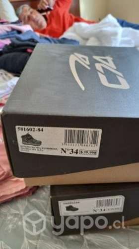 Zapatos colloky N° 34