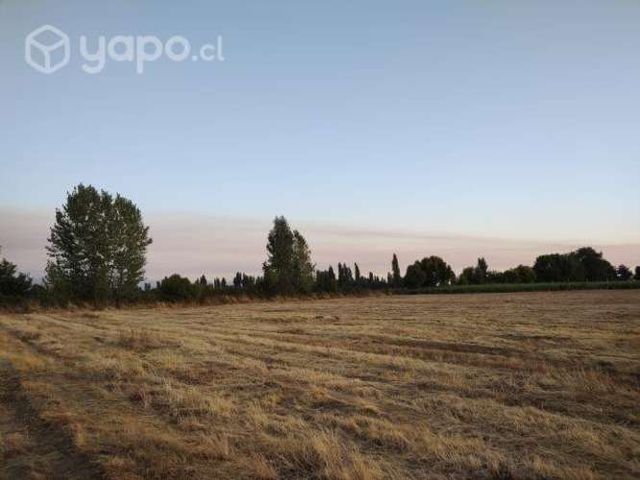 Parcela 1 hectaria en Parral septima región