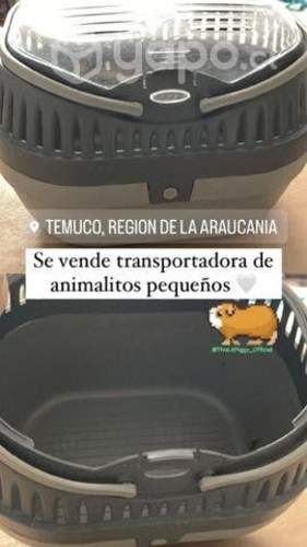 Transportadora y esquinero para animales pequeños