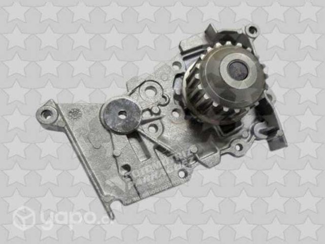 Bomba agua Platina, Clio 2, Duster, Scenic, otros