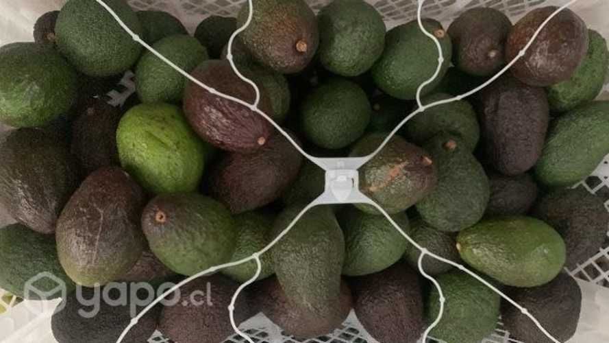 Palta hass
