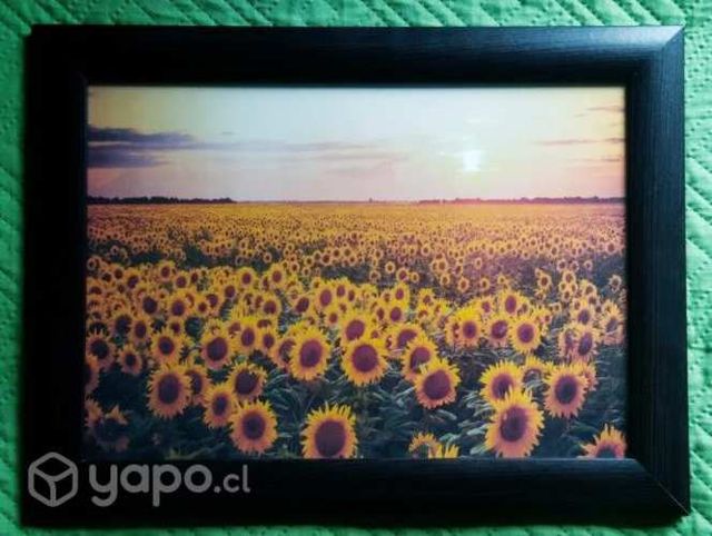 Hermosos cuadros decorativos para el hogar