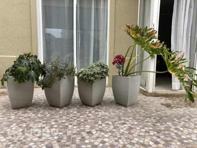 Plantas con maceteros