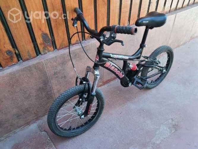 Bicicleta Bianchi Goliat Dsx