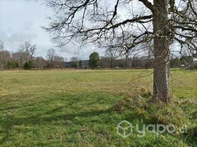 Terreno 5.000 m2 para multiples usos