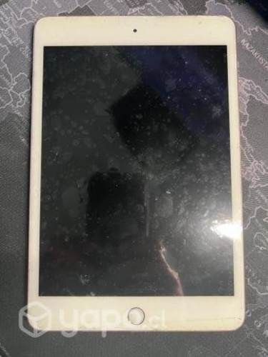 Ipad Mini 5ta Generación, 64GB, Wifi, Batería 100%