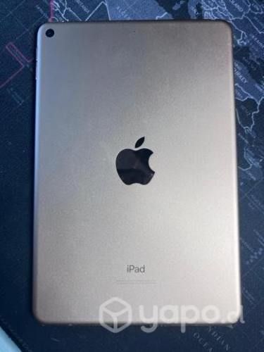 Ipad Mini 5ta Generación, 64GB, Wifi, Batería 100%