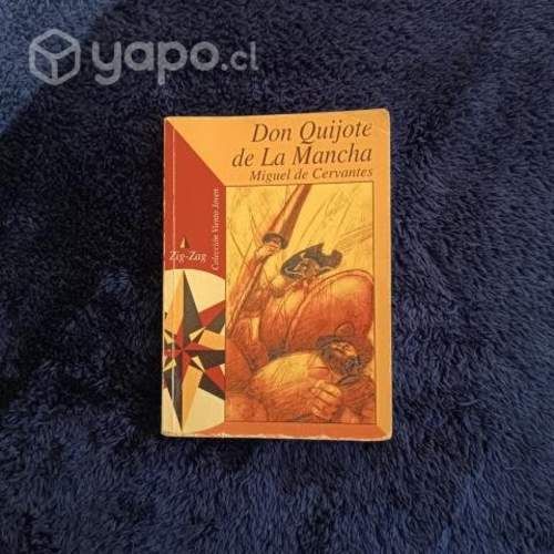 Libro Don Quijote de la Mancha, ZIGZAG