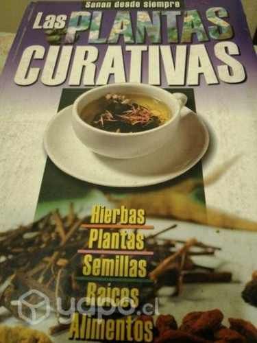 Las plantas Curativas.