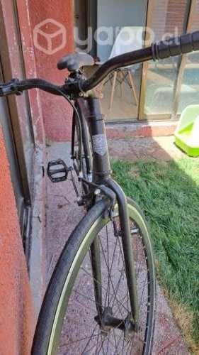 Freexie negra urban nueva