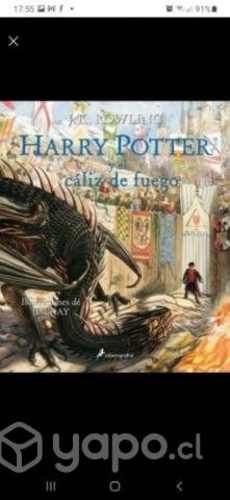 4 Libros ilustrados Harry Potter