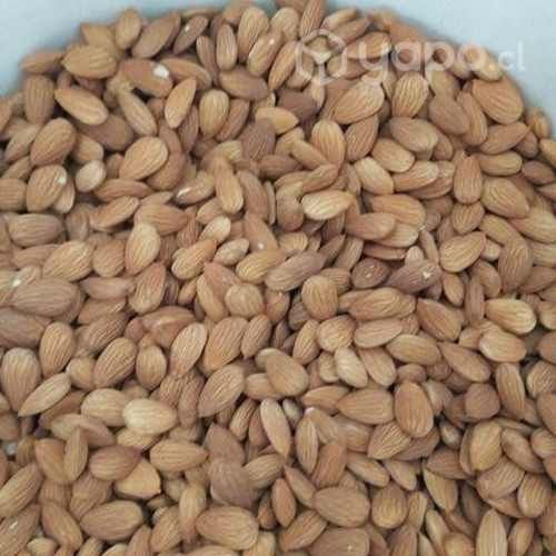 Almendras NonPareil y Nuez Chandler