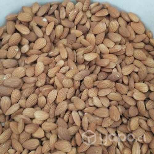 Almendras NonPareil y Nuez Chandler