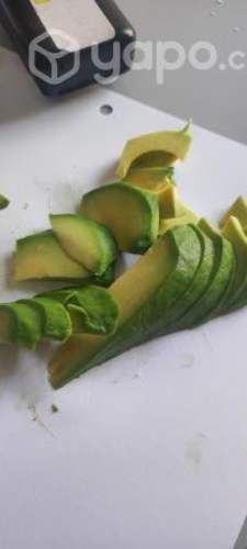 Palta Edranol Chilena