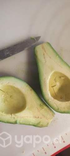 Palta Edranol Chilena