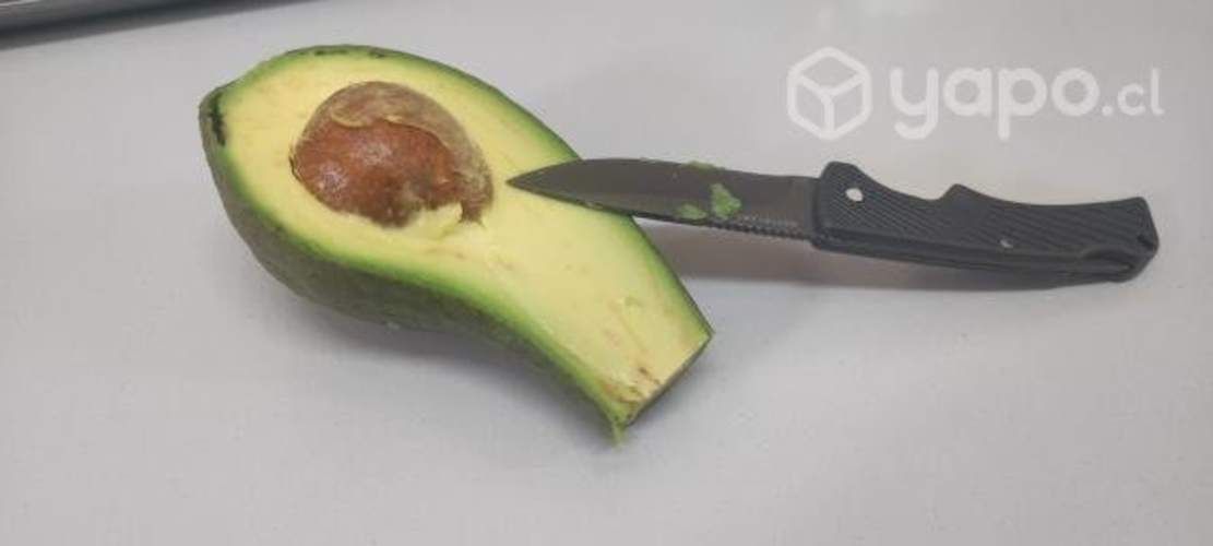 Palta Edranol Chilena