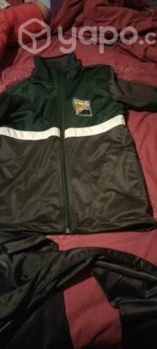 Buzo colegio alerce historico