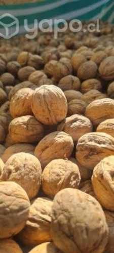 Nueces con cascaras