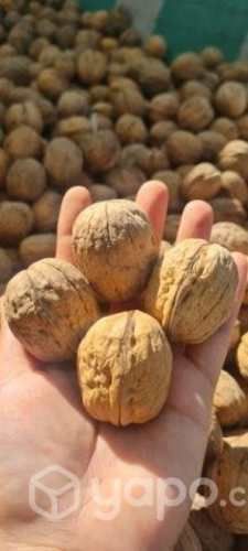 Nueces con cascaras