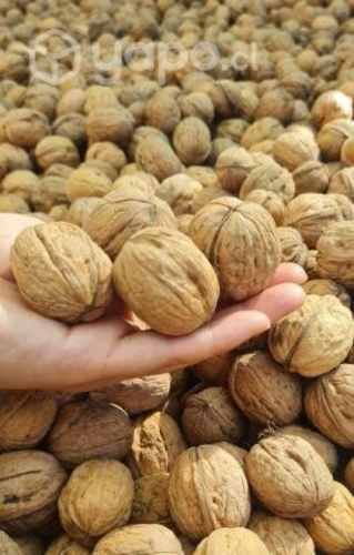 Nueces con cascaras