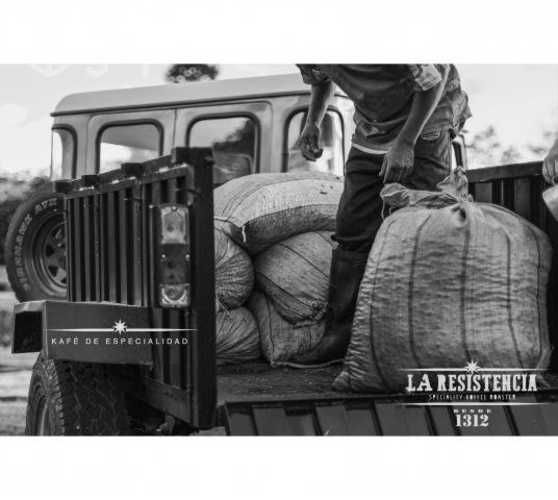 Café De Especialidad &quot;Caturra Roja&quot; de Colombia