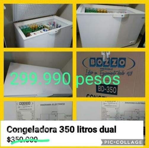 Congeladora y visicooler 350