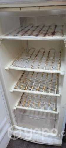 Falta de gas rejillas con oxido congelador vertica