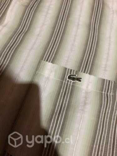 Camisa Lacoste