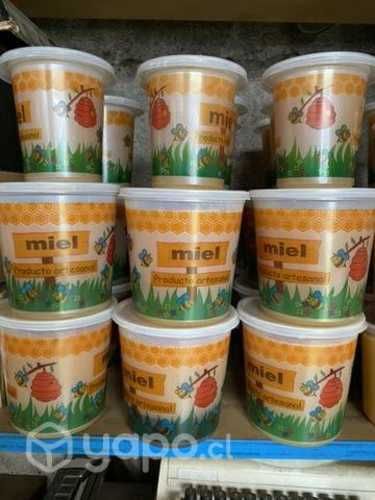 Miel de Ulmo $5000 pesos
