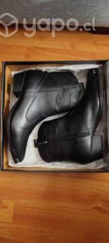 Botines ashely gacel