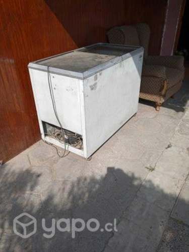 Congeladora