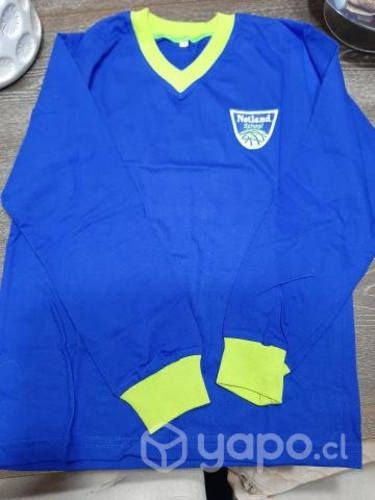 Polera gimnasia y gorro colegio netland school