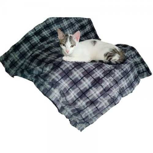 Manta tipo bolso para mascotas