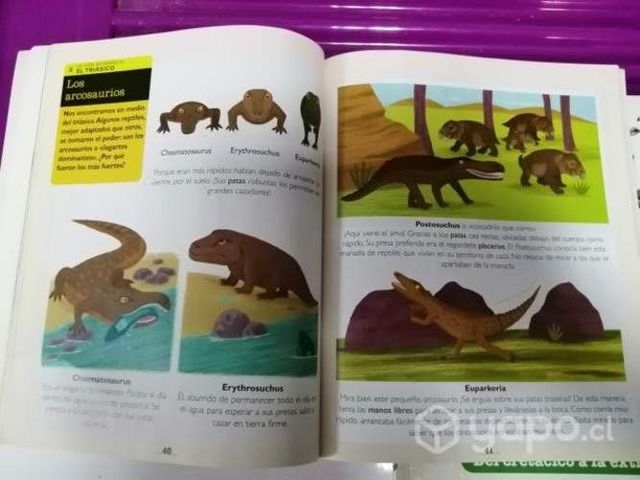 Libro dinosaurios