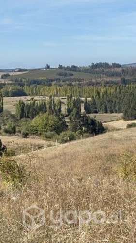 Parcelas yumbel sector la virgen