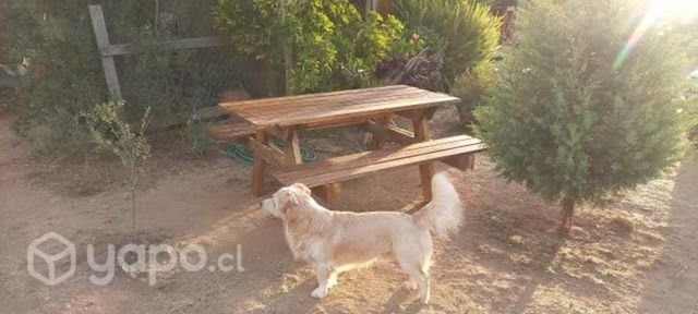 Mesa de picnic semi-rustica