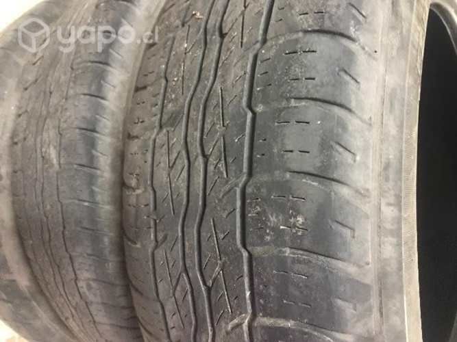 Neumáticos bridgestone