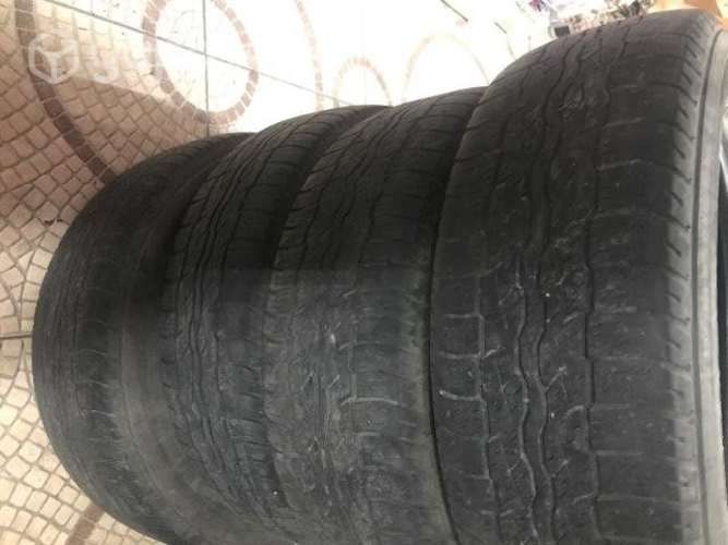 Neumáticos bridgestone