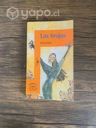Libro Las brujas