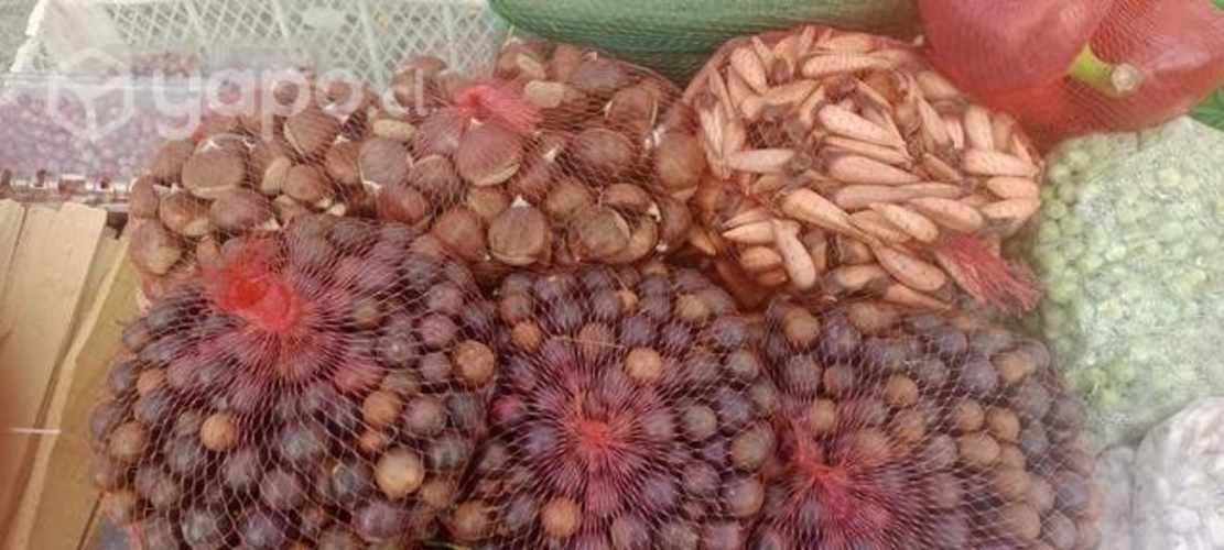 Murtas ,avellanas ,castañas