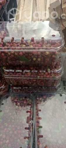 Murtas ,avellanas ,castañas