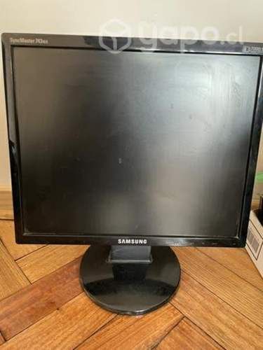 Monitores de 17 pulgadas